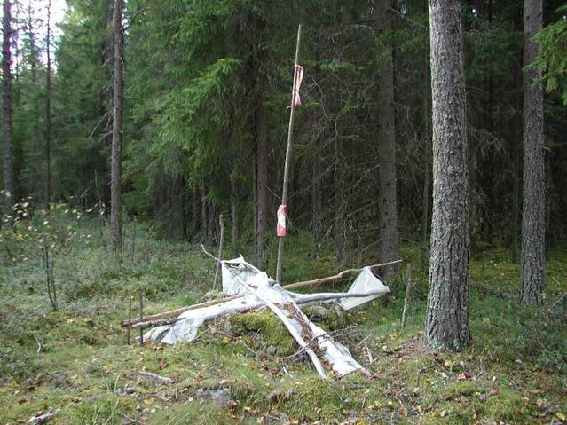 Boundary marker 30 meter from the confluence.