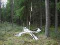 #5: Boundary marker 30 meter from the confluence.