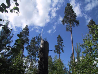 #1: Down-up view of the confluence location