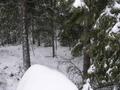 #2: North view