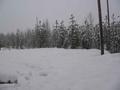 #4: South view