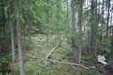 #2: View N
