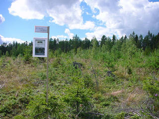 #1: View to the West over the confluence (marked with a flag)