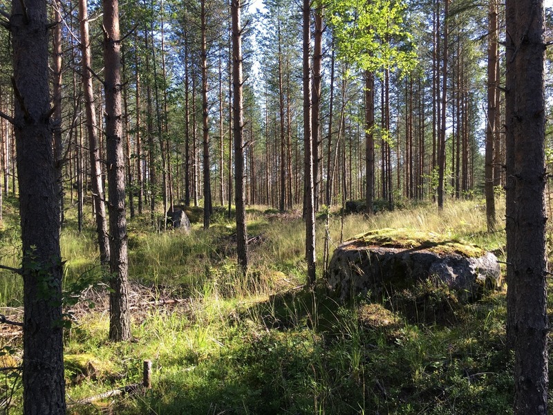 The Confluence from 20 m distance