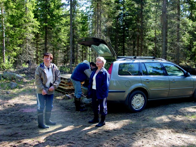 Place where car was left. Jay birds, that where eating corn seeds, at sight.