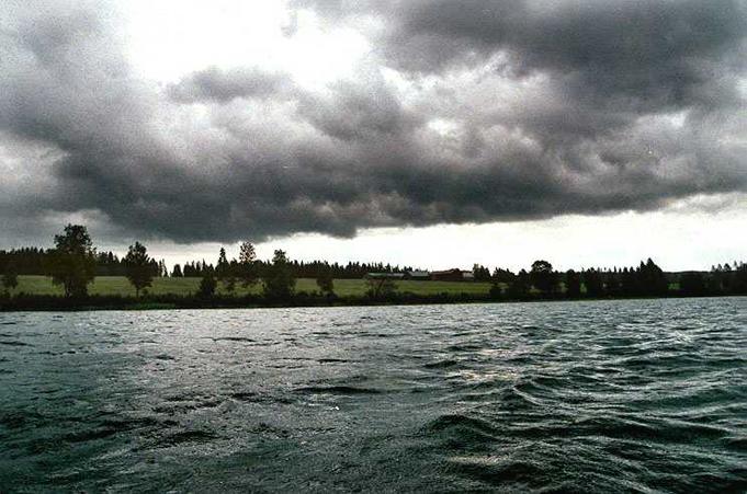 View east from confluence to the nearest shore.