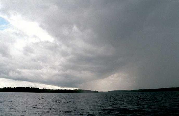 View south from confluence