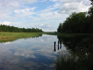 #1: View to a Sulkavansalmi sound, connecting 2 lakes just 70m from 62°N 29°E