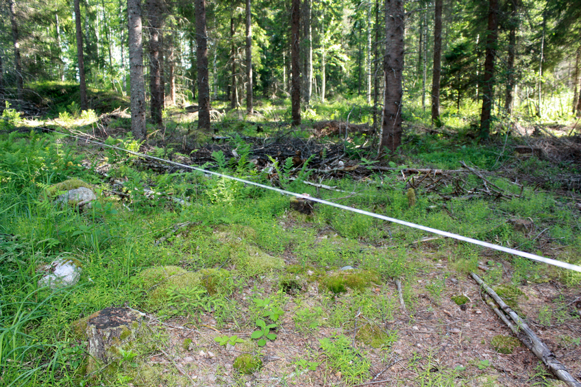 Rope by the road side / Нить по обочине