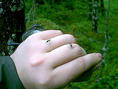 #5: Feeding mosquitos.