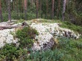 #9: Lichen-covered rock at the confluence point