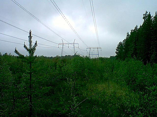 Powerlines we crossed.