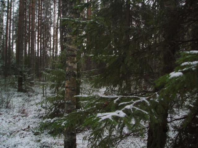 View to South