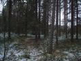 #5: View to West