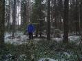 #7: Hunter