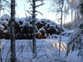 #2: North view (another heap)