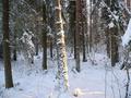 #3: East view