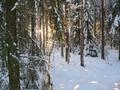 #4: South view