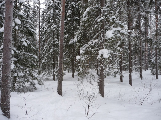 South