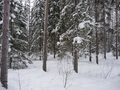 #2: South