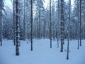 #2: North