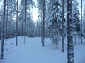 #3: East