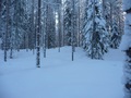 #4: South