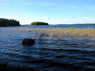 #1: Lake Keitele - 30 metres from confluence.