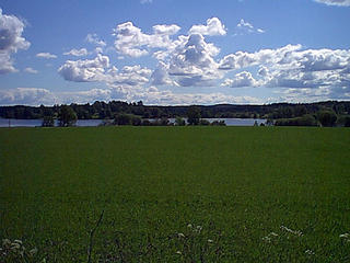 #1: A view to the east towards the confluence.