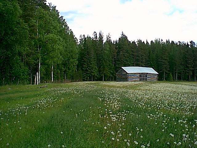 View to the east from the confluence.