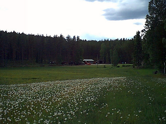 West and the farm in the distance.