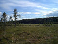 #5: A wide swamp we drove past by, not far from the confluence.