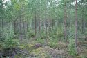 #2: View N