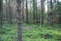 #2: View N