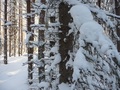#2: South