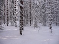 #3: West