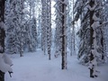 #4: North