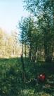 #2: East