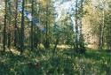 #4: West