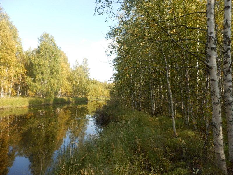 The Confluence from 20 m Distance