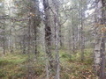 #4: View to the North
