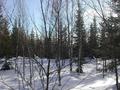 #3: South