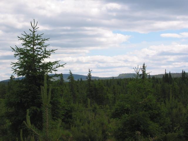 General view to  south,150m east from target