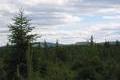 Visit #1: [17-Jun-02]