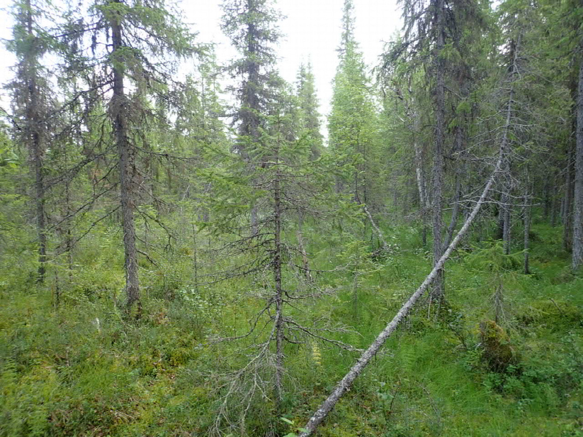 East view / Östliche Sicht