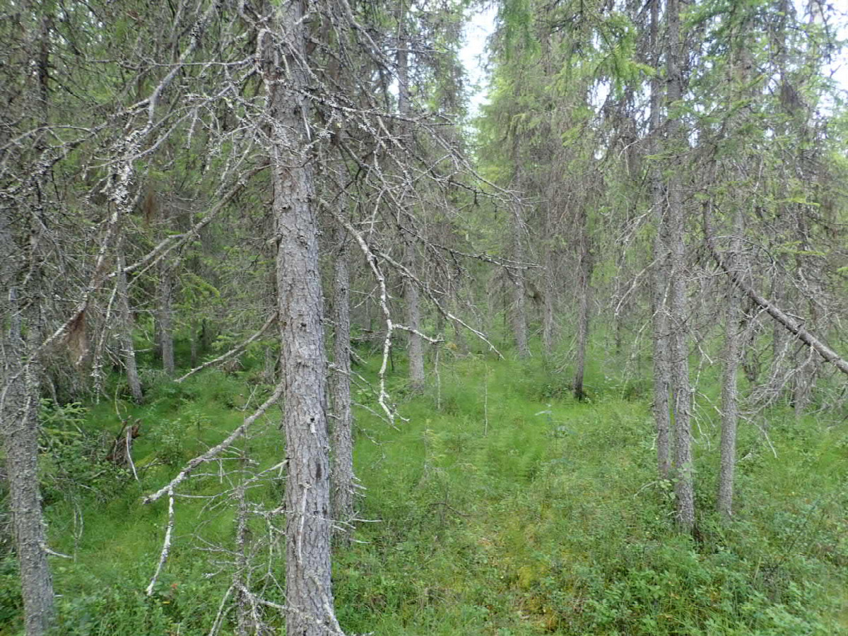 West view / Westliche Sicht