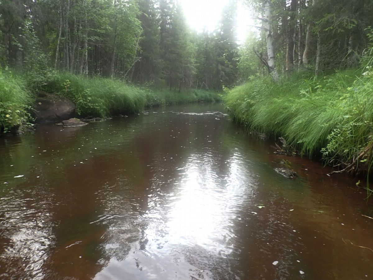Olosjoki crossing / Olosjoki Flußdurchquerung