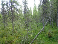 #2: East view / Östliche Sicht