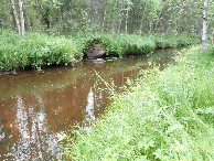#8: On the River Olosjoki / Am Flußufer des Olosjoki