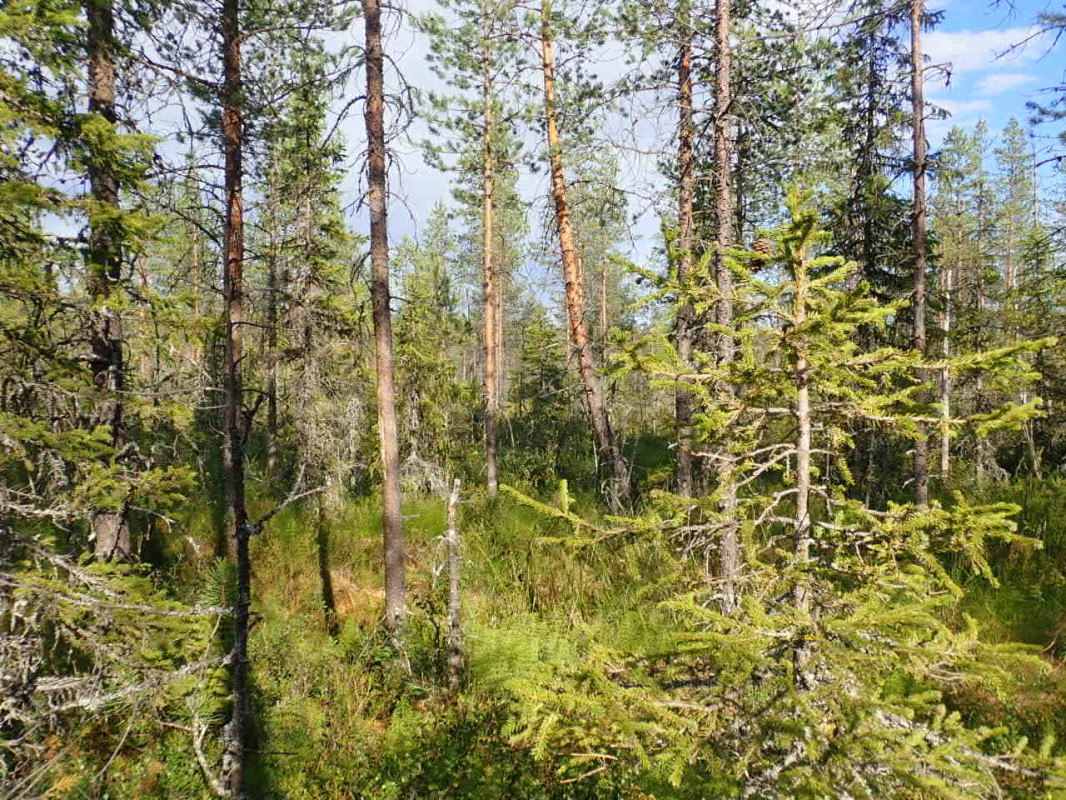 East view / Östliche Sicht